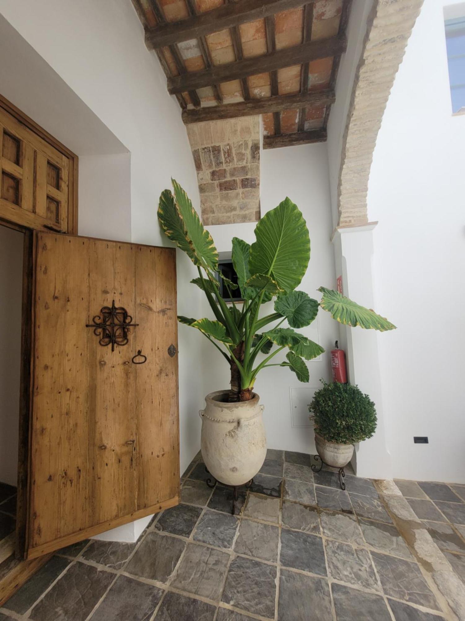 Ferienwohnung Casa Del Museo - Agua Medina-Sidonia Exterior foto